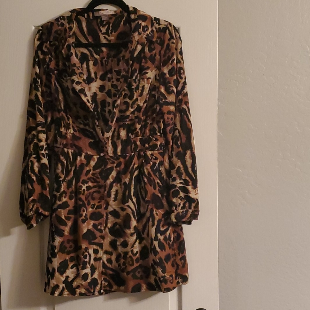 Animal print long sleeve button down dress.